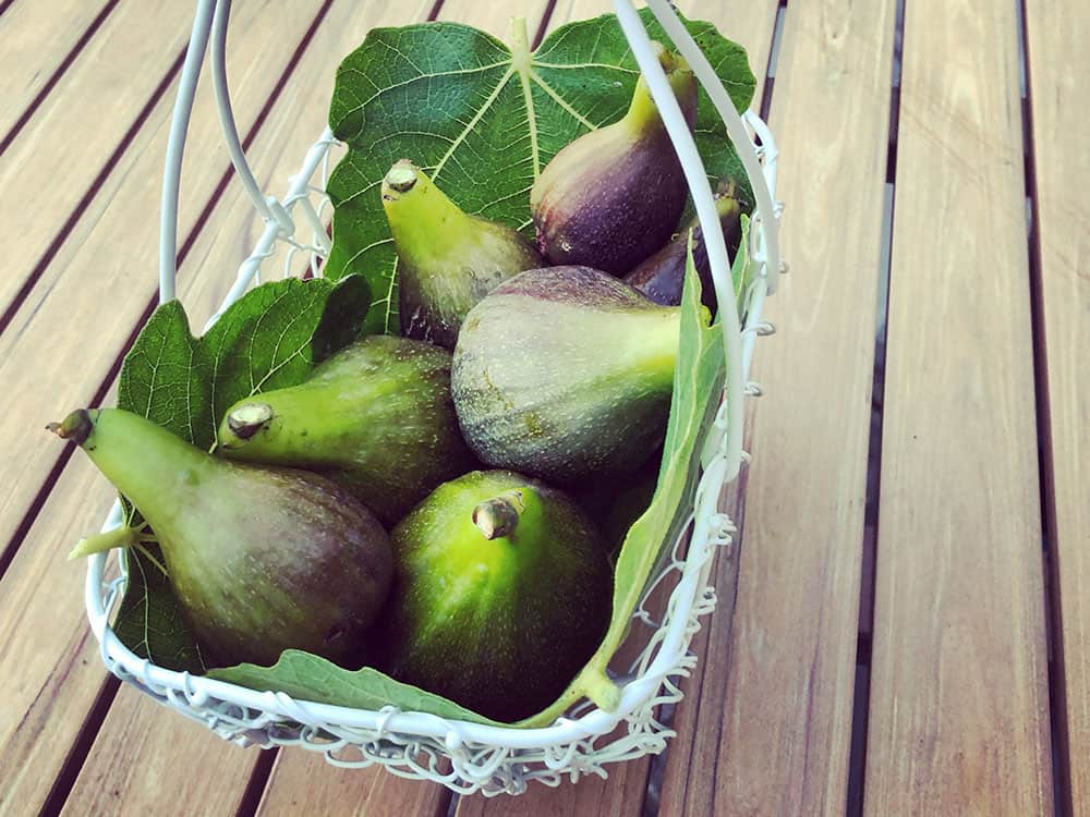 Pitt Farm Figs