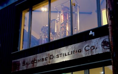 Gin School with Salcombe Gin